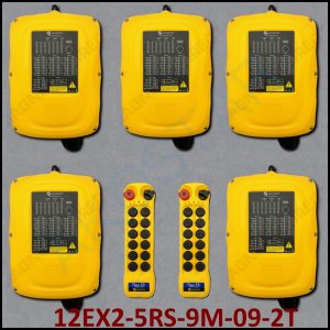 Flex 12EX2 RS System - 9 Motion - 2TX, 5RX - 110VAC