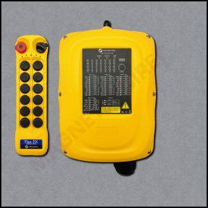 Flex 12EX2 System - 1TX, 1RX - 220VAC