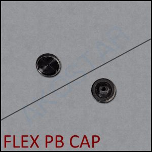 EX-PB-CAP